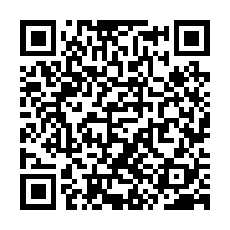 QR code for SVN228