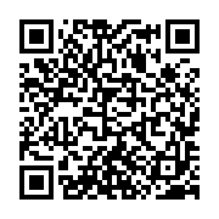 QR code for SVN993