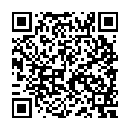 QR code for SVX381