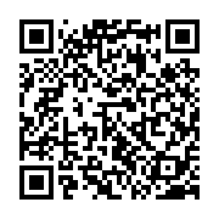 QR code for SWE219