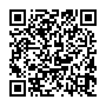 QR code for SWE989