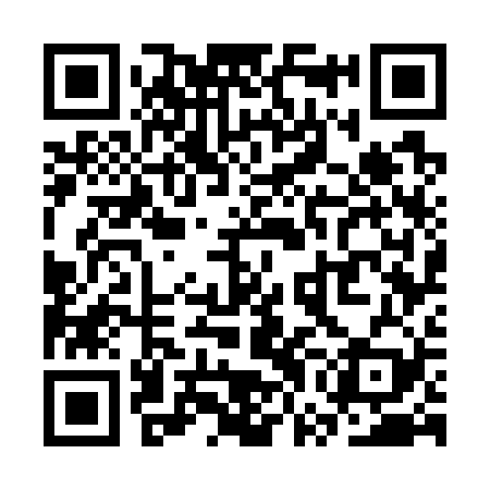 QR code for SWG729
