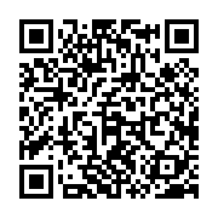QR code for SWP029