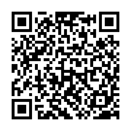 QR code for SWY295