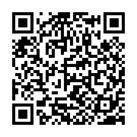 QR code for SYE011