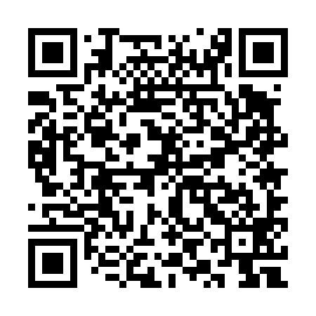QR code for SYE499