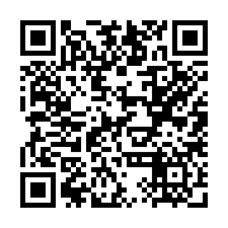 QR code for SYG387