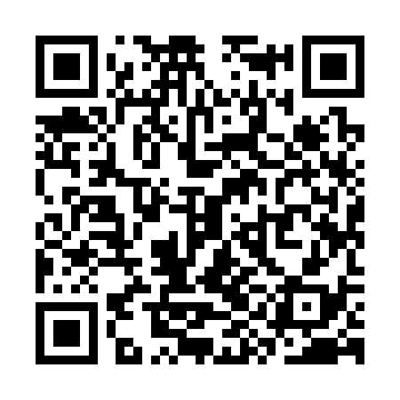 QR code for SYI338