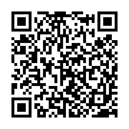 QR code for SYI493