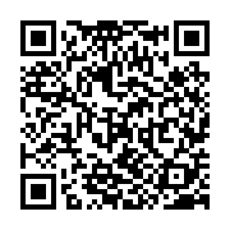 QR code for SYN209