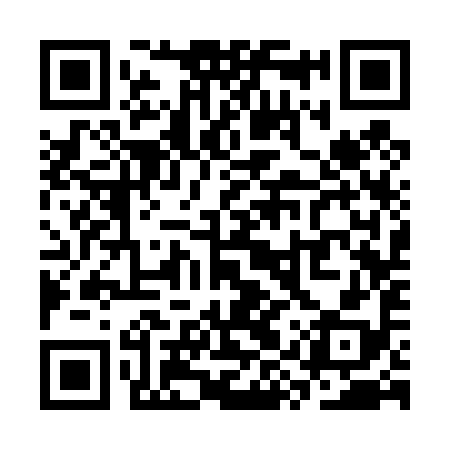 QR code for SYS498