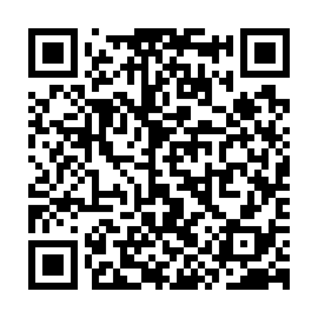 QR code for SYS738