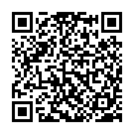QR code for SYY295