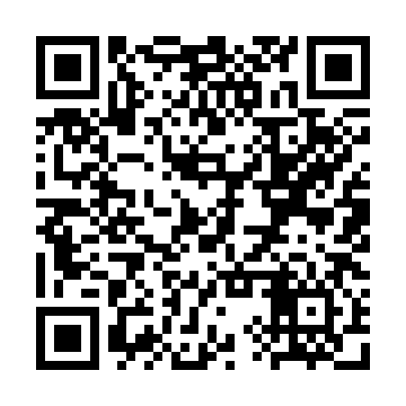 QR code for SYY386