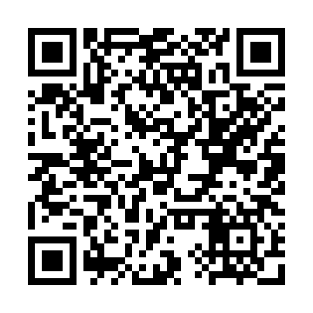 QR code for SYY387