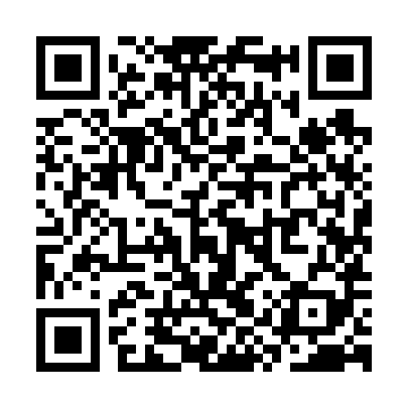 QR code for SYY689