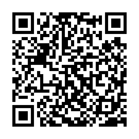 QR code for SYZ611