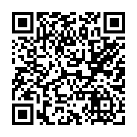 QR code for SZT295