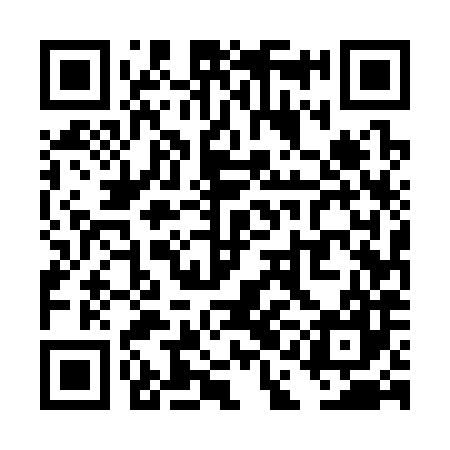 QR code for TAE387