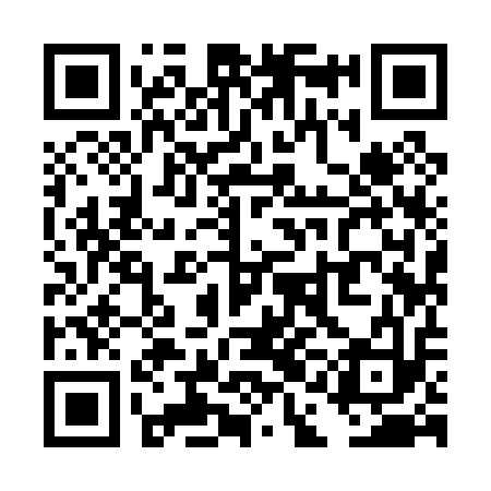 QR code for TAI013