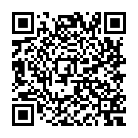 QR code for TAI951