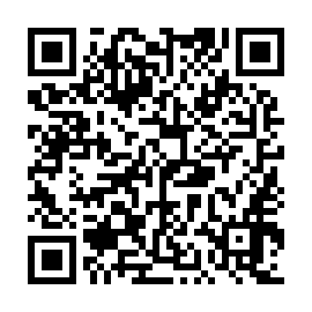 QR code for TAN956