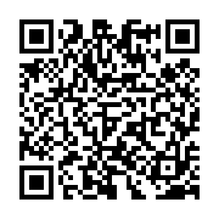 QR code for TAO413