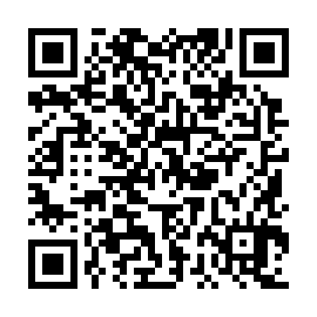 QR code for TBI384