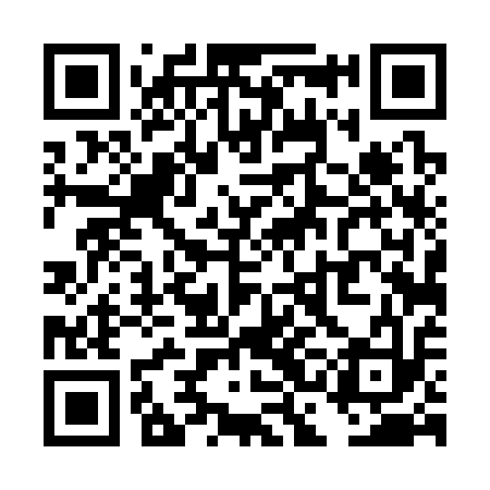 QR code for TCD313