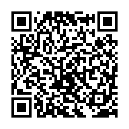 QR code for TCZ291