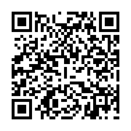 QR code for TCZ383