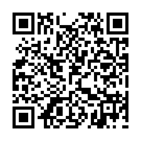 QR code for TCZ993