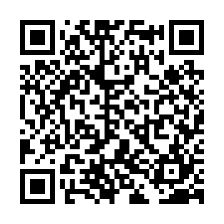 QR code for TDG224
