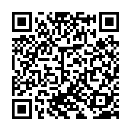 QR code for TDG229