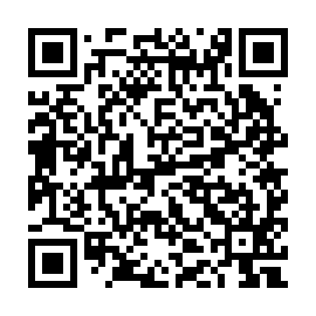QR code for TDG295