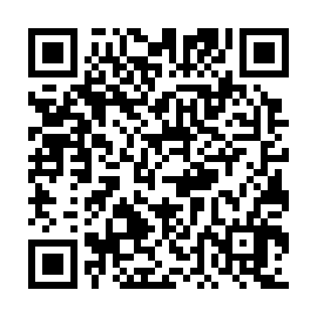 QR code for TDG306