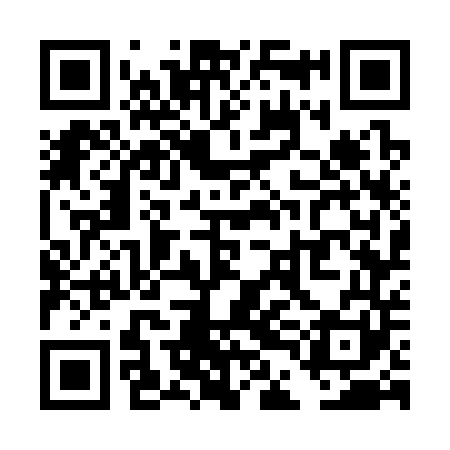 QR code for TDG341