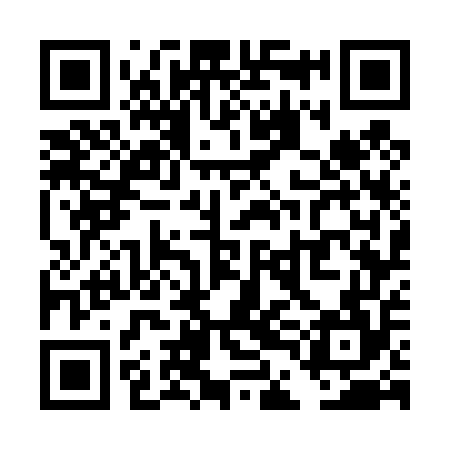 QR code for TDG454