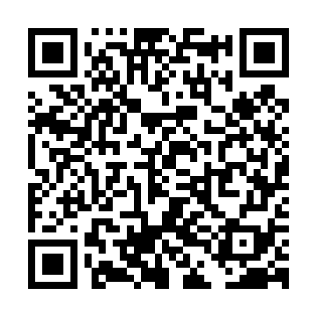QR code for TDG479