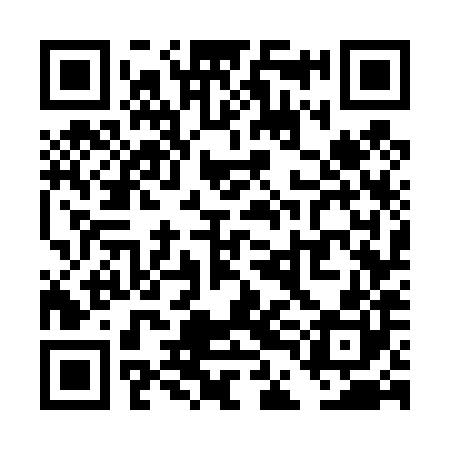 QR code for TDG480