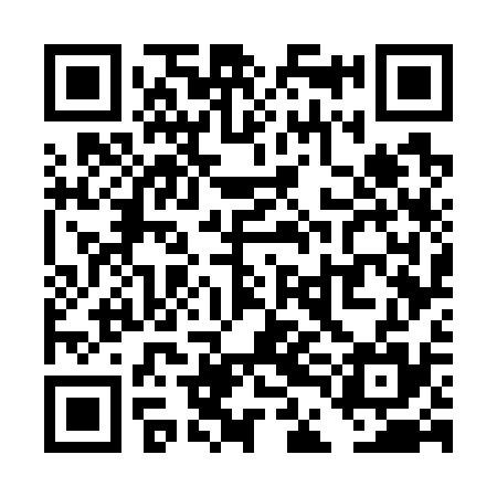 QR code for TDG735