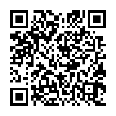 QR code for TDG740