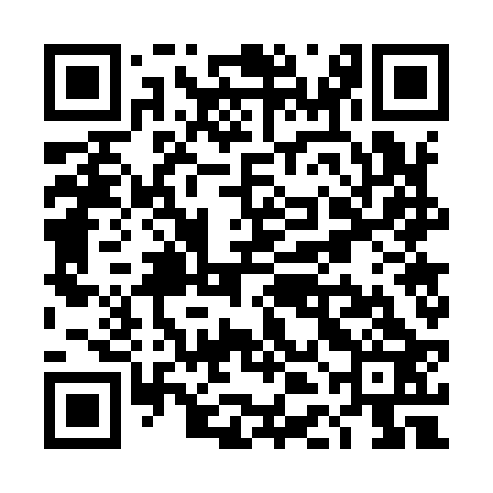 QR code for TDG923