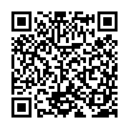 QR code for TDI441
