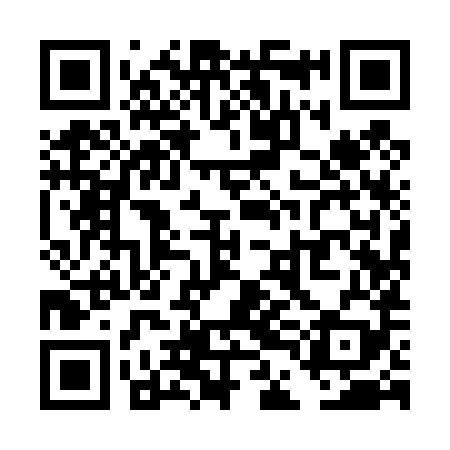 QR code for TDI489