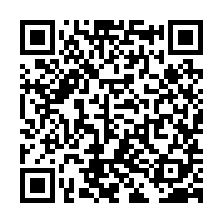 QR code for TDK289