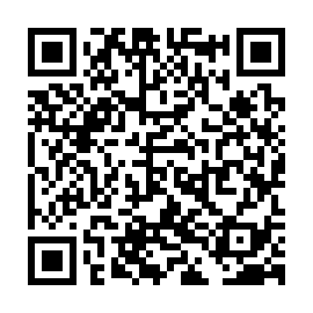 QR code for TDK339
