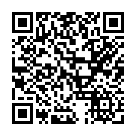 QR code for TDK377