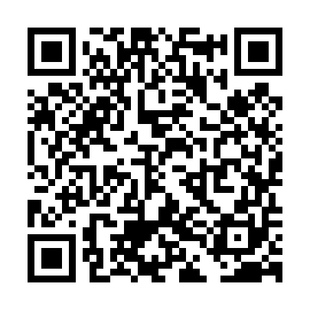 QR code for TDK450