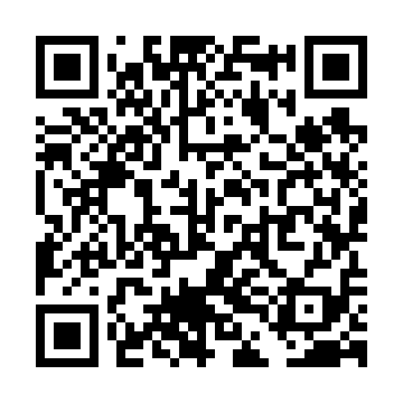QR code for TDK619